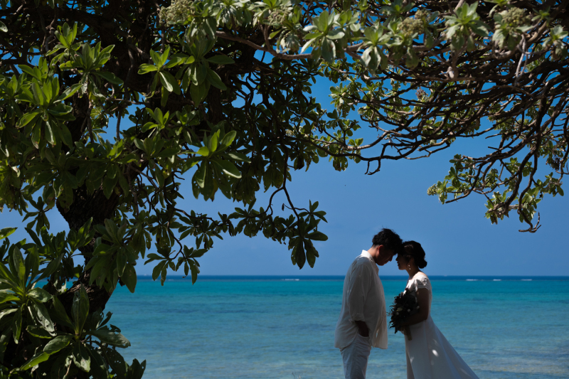 緑の木々のフレーム、その先に広がる青い海。