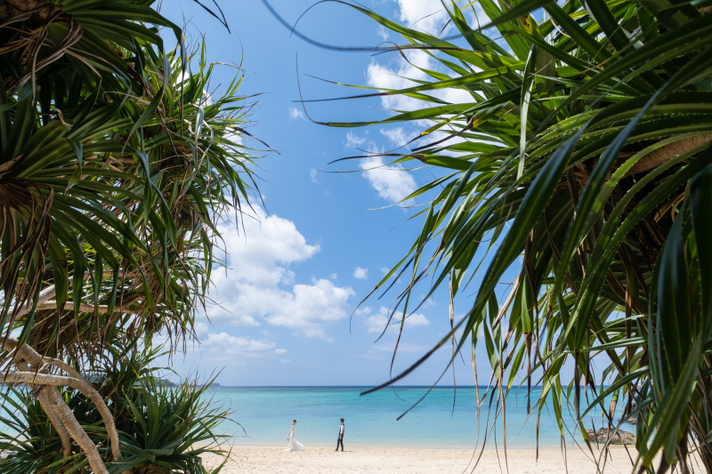 アダンの木を使ったお写真♪