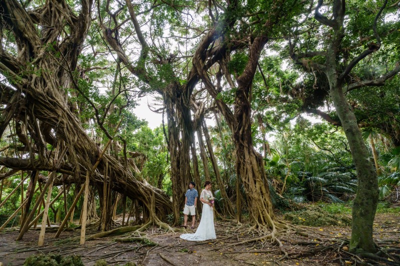 撮影地2箇所目へ移動