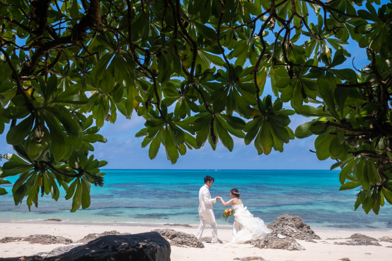 緑も海もフォトウェディング