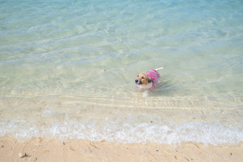 海水浴タイム〜♪