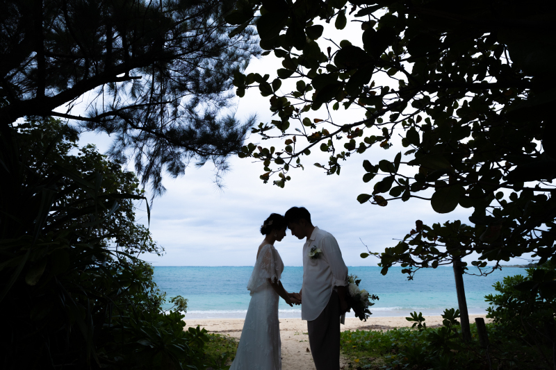 リクエストカット1(シルエット写真)