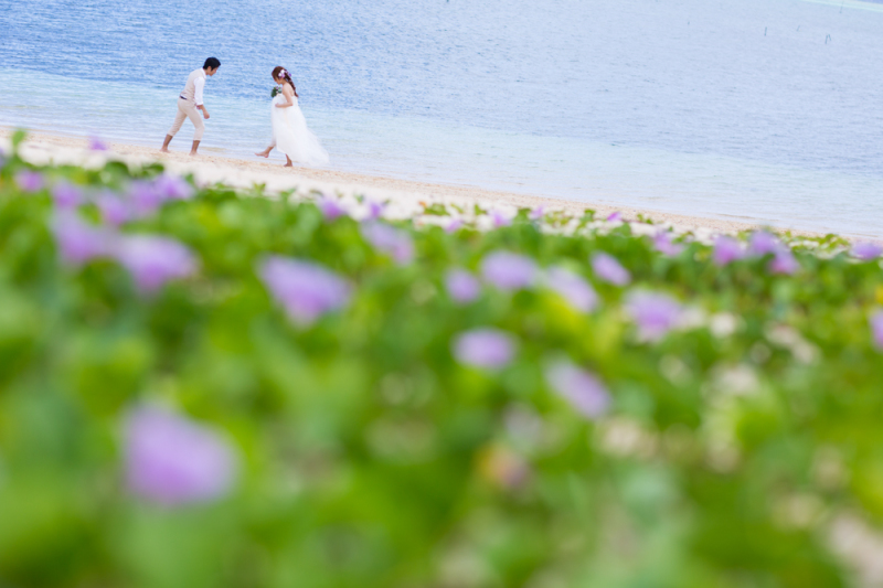 ビーチで遊んで