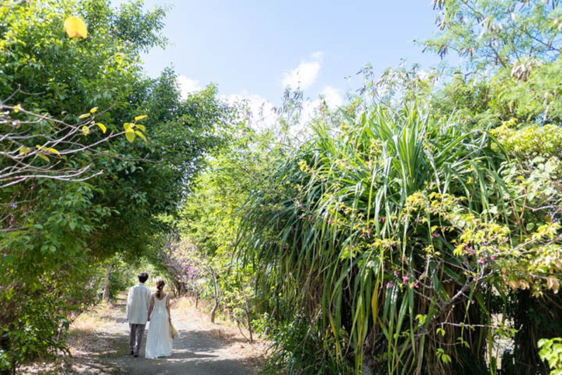沖縄の植物に囲まれて