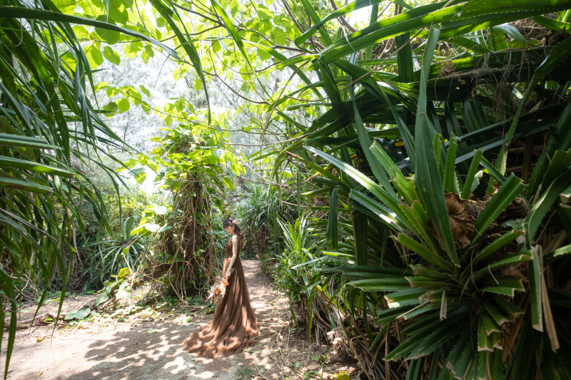 南国感溢れる森