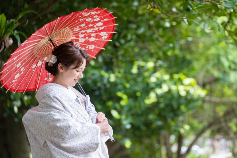 美しいソロショット