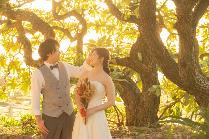 サンセットオプション