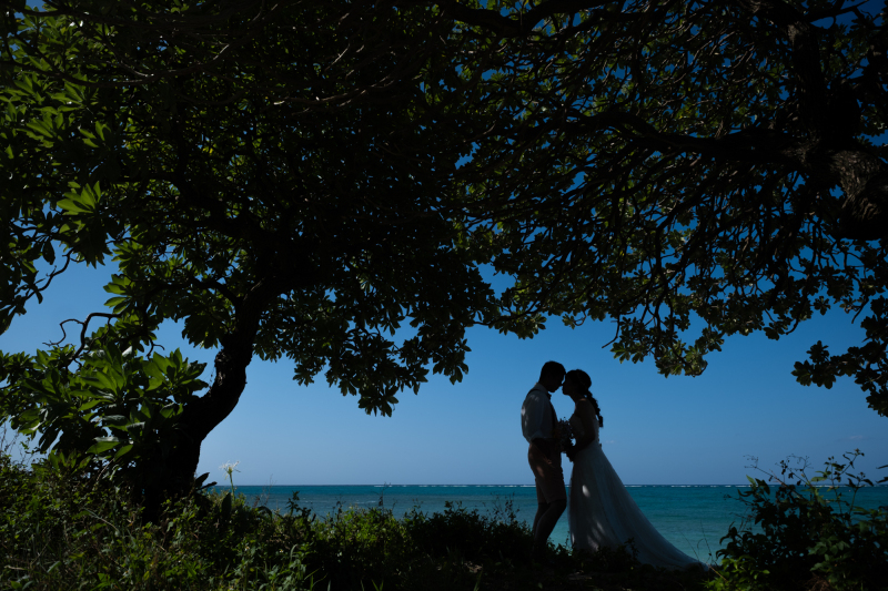 シルエットショット♪