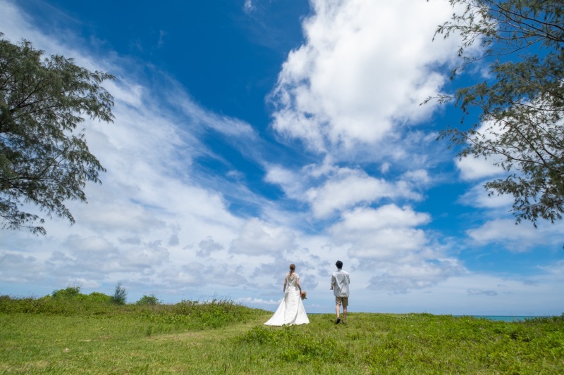 緑と青空のコントラストが綺麗！