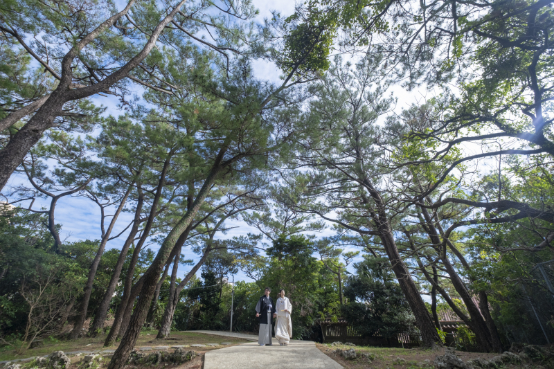 グリーンでの撮影