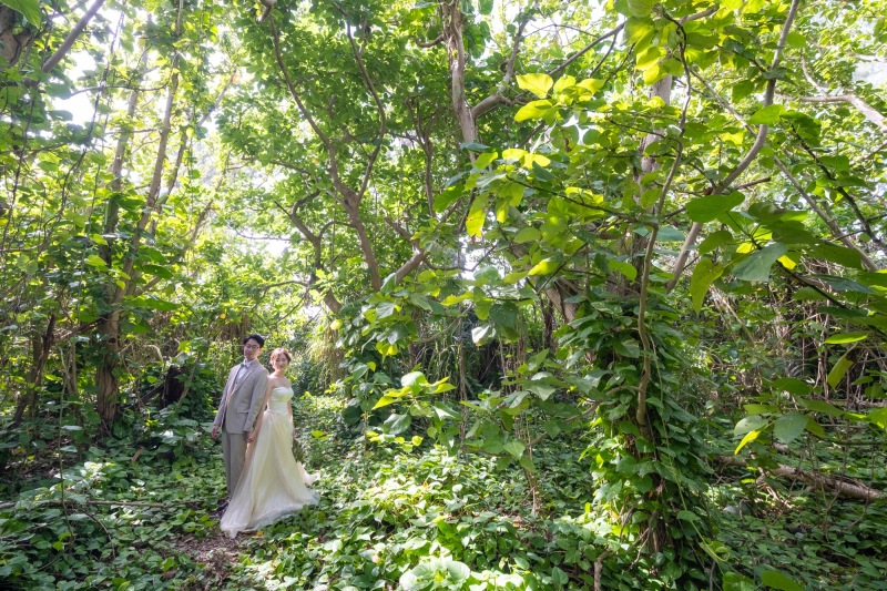 沖縄のグリーン