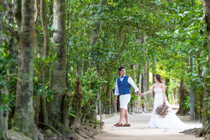 2か所目に選んだのはフクギ並木道♪