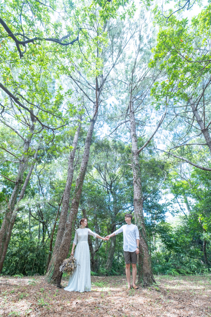 木陰に入ると、涼しい風が流れます♪