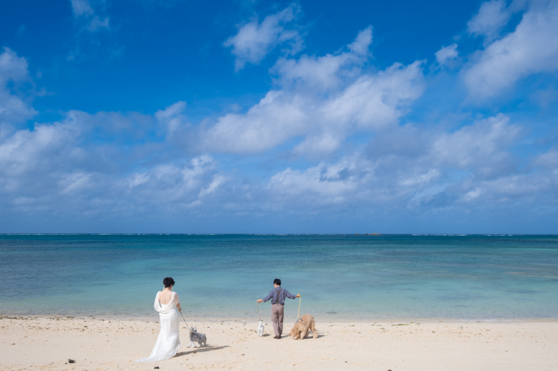 ペットも一緒にお散歩ショット