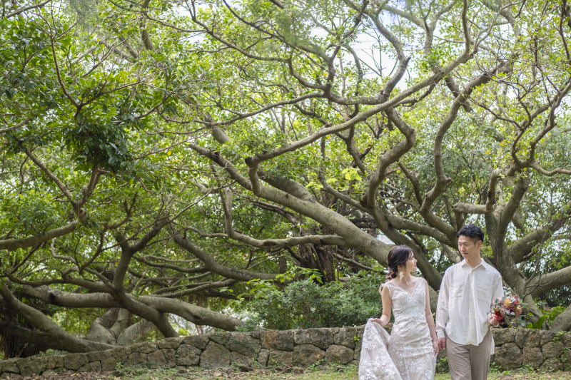 大きく横に広がる木