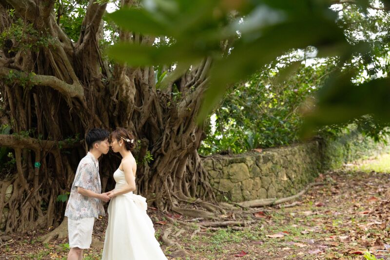 ガジュマルの木のしたで…