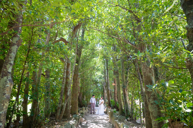目的の撮影地へ到着！