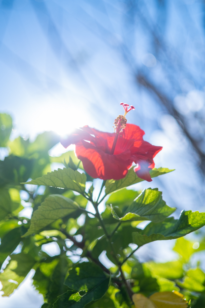 【9/13　9:00】お客様お出迎え♪