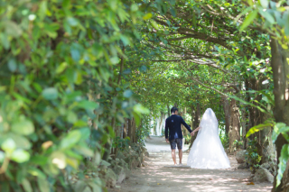 road trip photo(備瀬フクギ並木編）