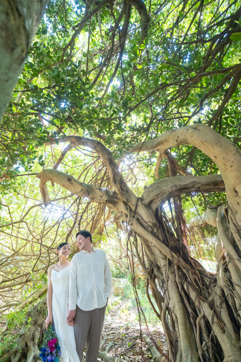 ガジュマルの木