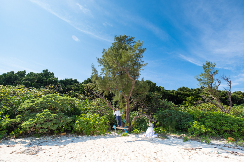 こんなのも発見♪