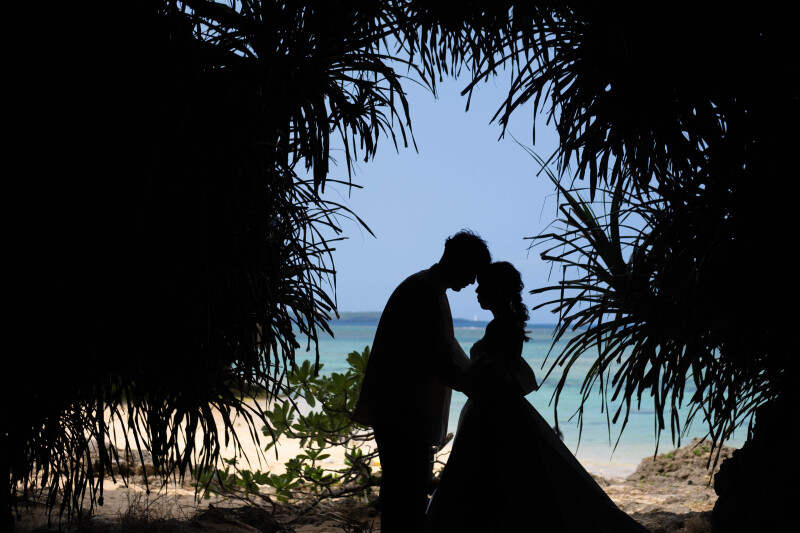 亜熱帯な植物も入ったシルエット撮影