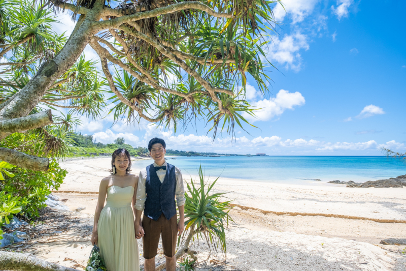 緑もありますよ♪