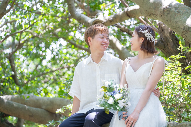 太陽の光を浴びて