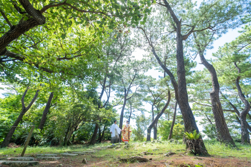 爽やかなグリーンイメージ♪