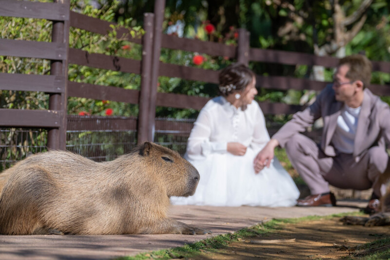ゆ～っくり時間がながれます