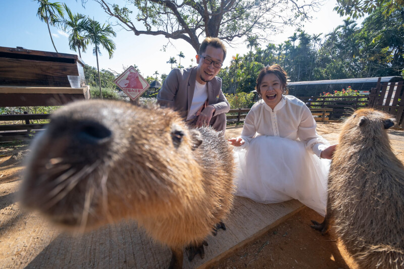 愛するカピバラさんと