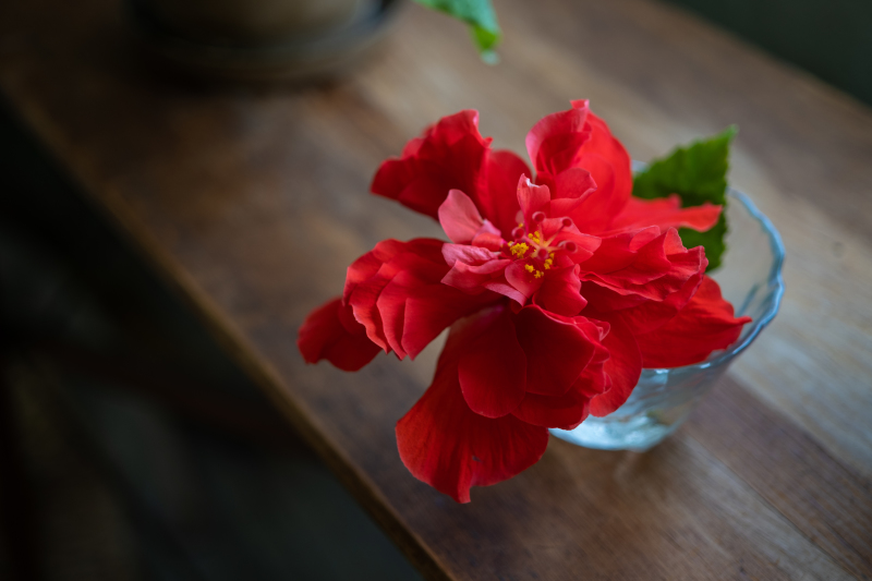 今日も良い一日になりそうな予感♪