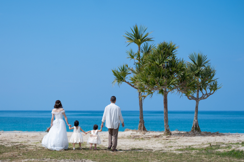 沖縄らしさ全開!ヤシの木発見!