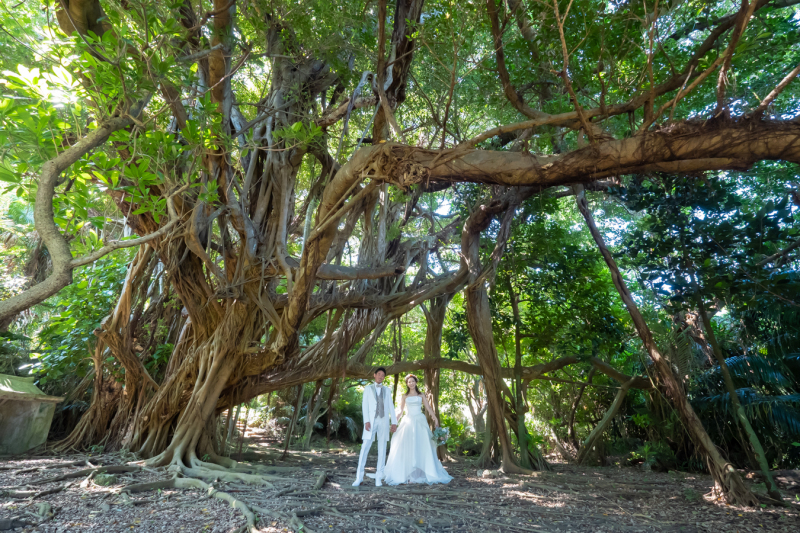 壮大な自然の中で♪