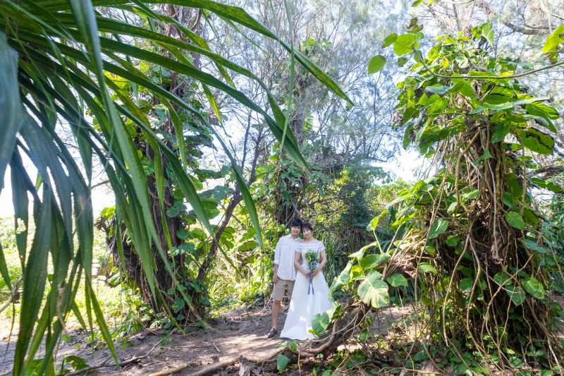 撮影地のリクエスト大歓迎