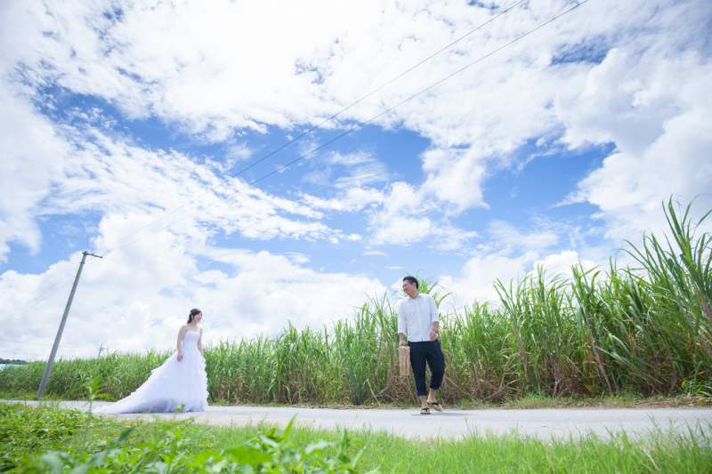 サトウキビ畑の道。