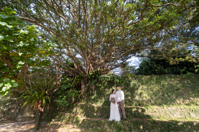 木漏れ日の中で