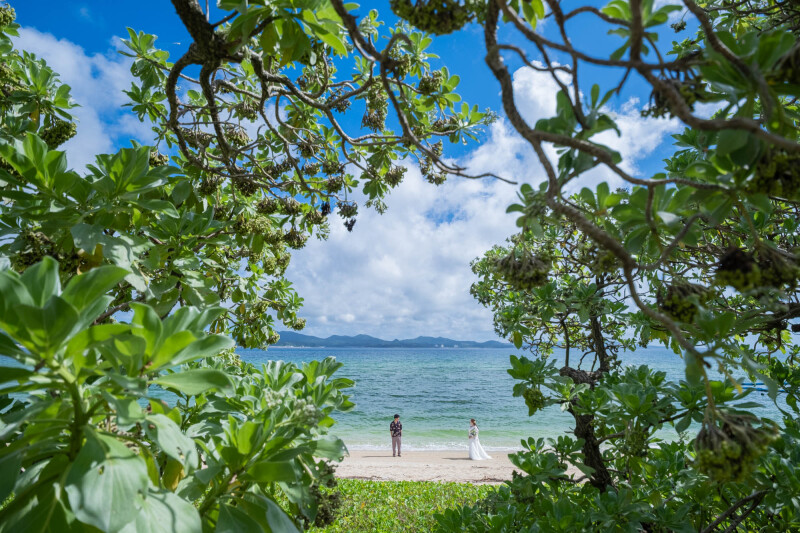 自然のフレーム