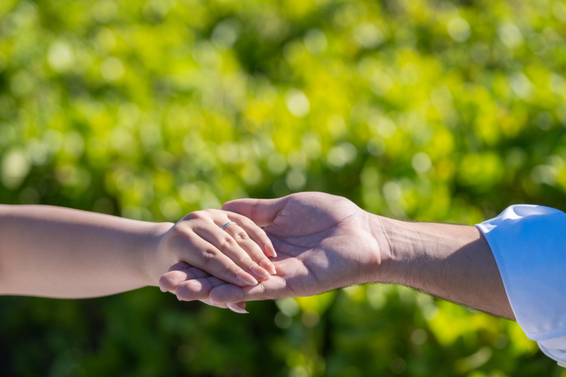 そっと手をとりあって。