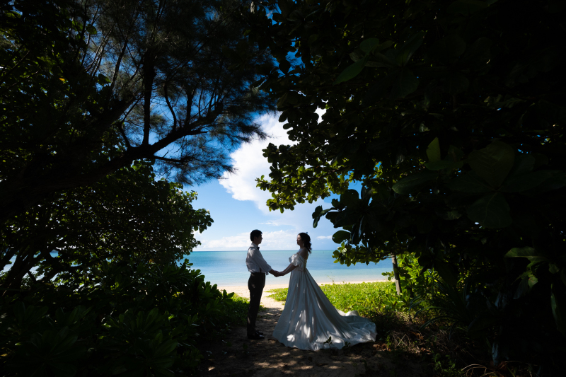 シルエット撮影