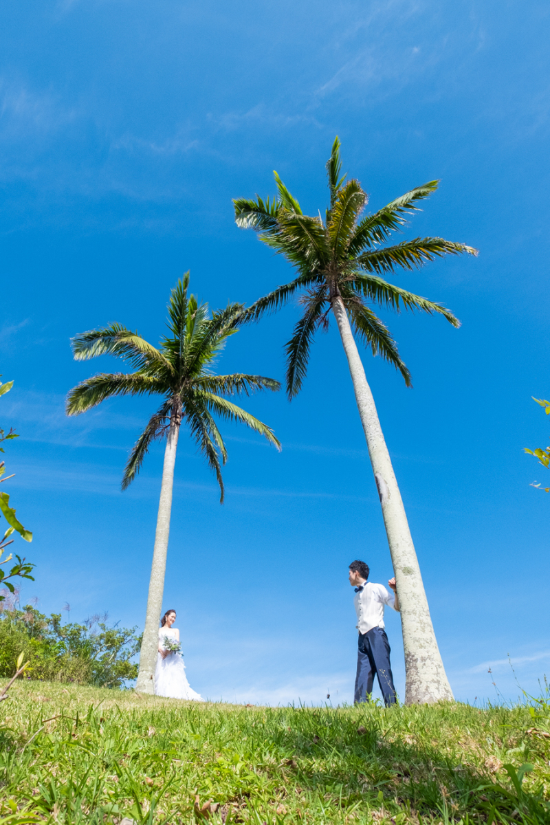 ヤシの木も忘れません♪