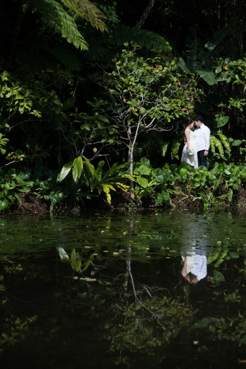 スタジオからすぐの大自然【ビオスの丘】