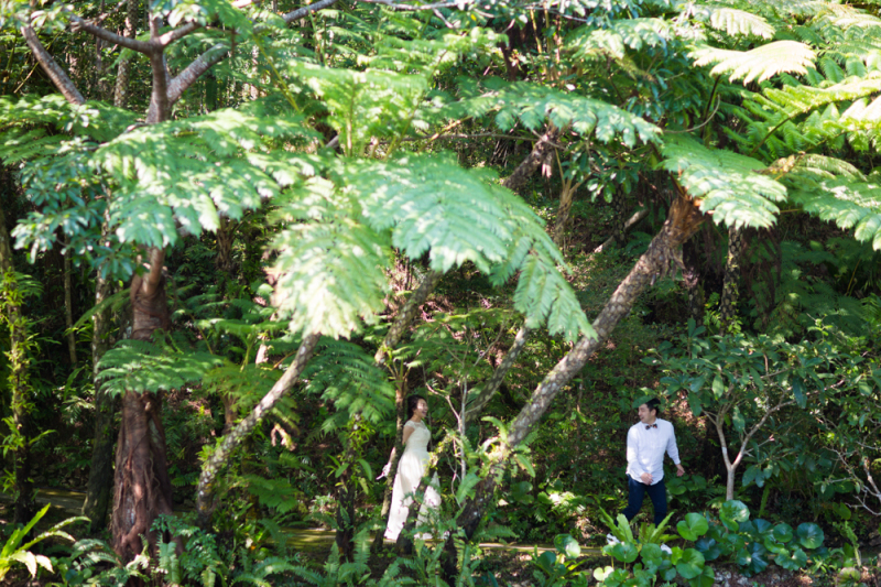緑いっぱいの自然の中で後撮り