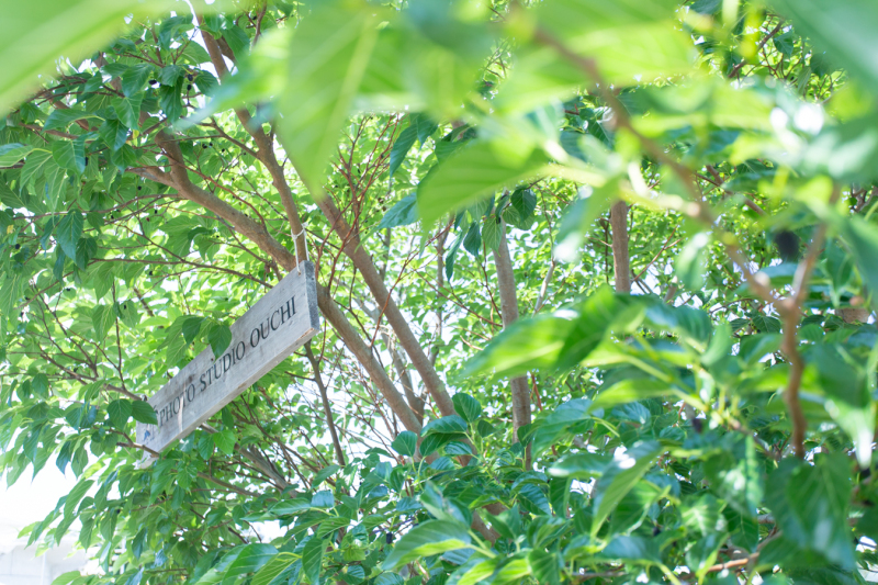 ピックアップフォト①