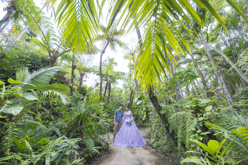 深い緑に癒される東南植物楽園