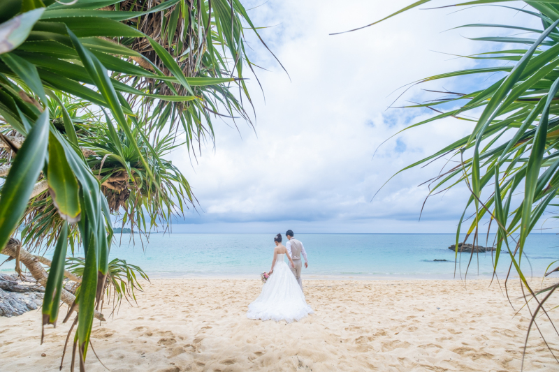 少し離れた場所からのショット