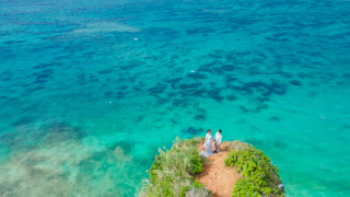 ‼︎年内撮影の方限定‼︎【創業10周年記念】撮影2箇所プラン♪(東南植物楽園編)