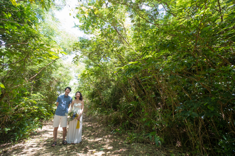 緑のトンネルの中で♪