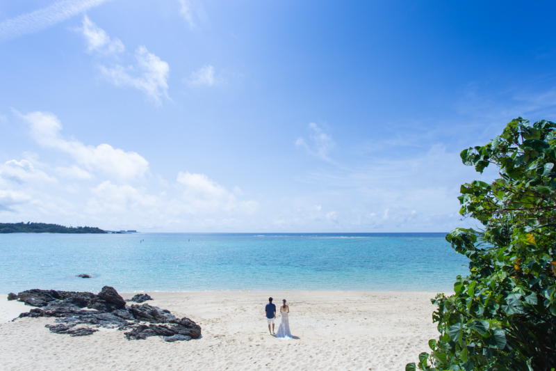 ピックアップフォト③