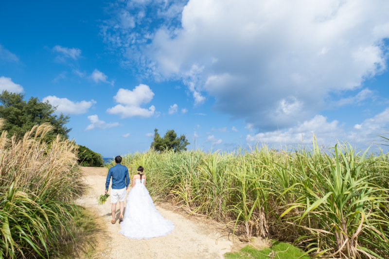 さとうきびロードをお散歩♪